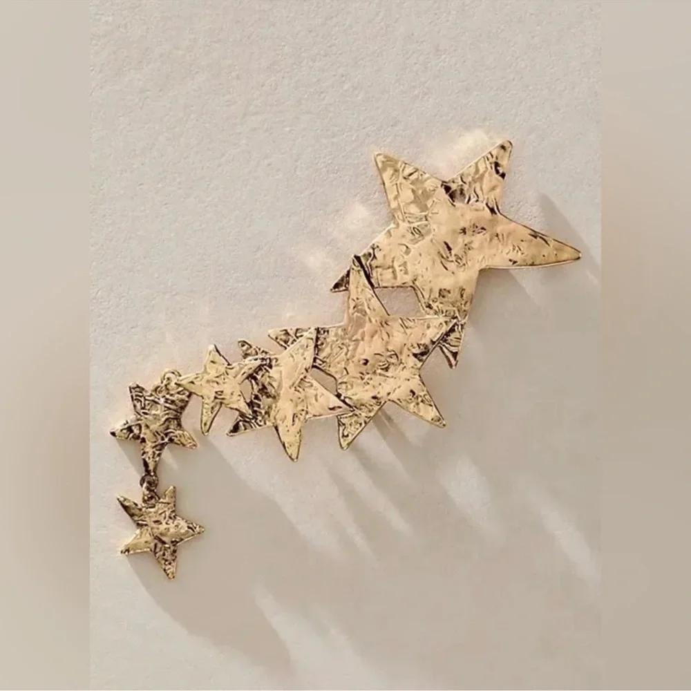 NWT Free People Shooting Star Brooch